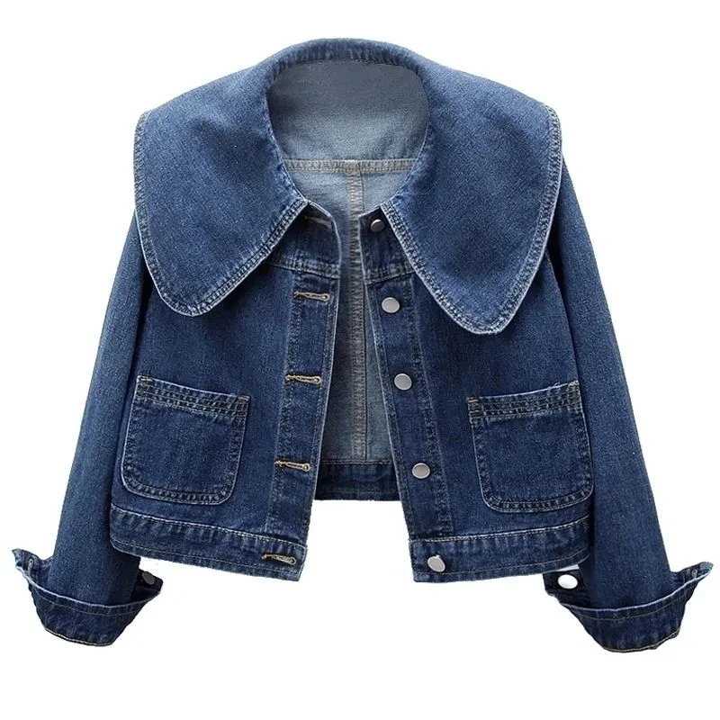 2024 Nowa jesienna kurtka jean – Down Jacket Packable recenzja i cena